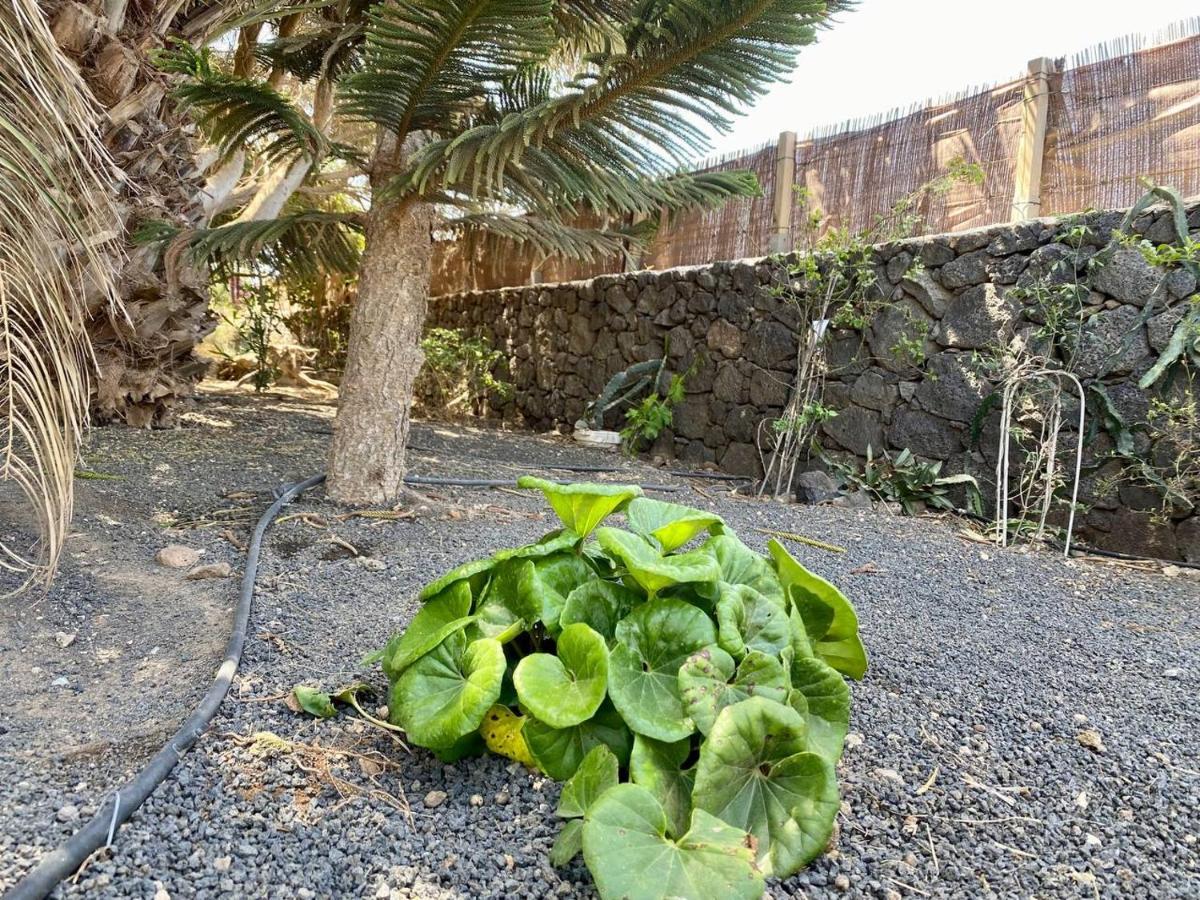 Cabanalanz, Cabanas En Lanzarote San Bartolome  Bagian luar foto