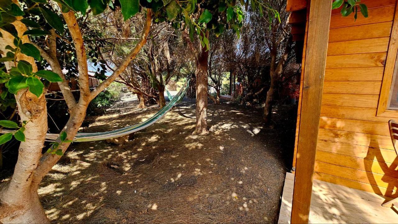 Cabanalanz, Cabanas En Lanzarote San Bartolome  Bagian luar foto