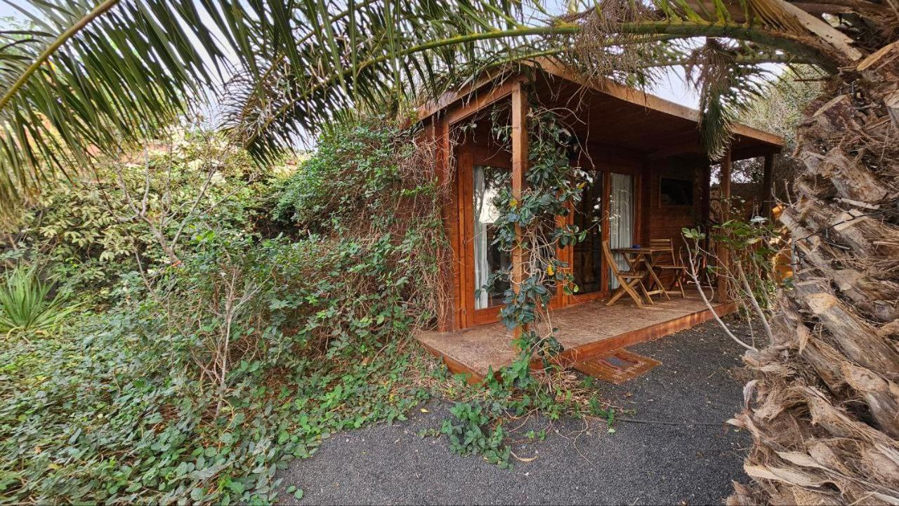 Cabanalanz, Cabanas En Lanzarote San Bartolome  Bagian luar foto