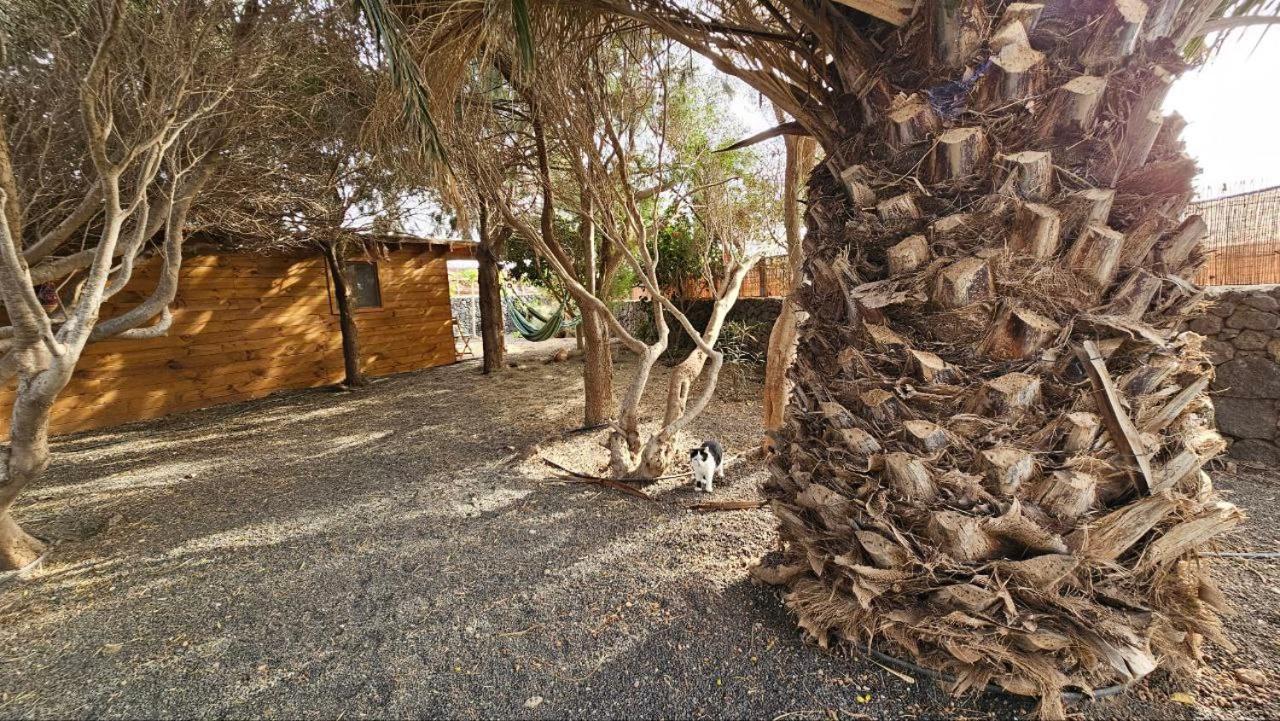 Cabanalanz, Cabanas En Lanzarote San Bartolome  Bagian luar foto